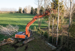 Dairy Conversion Tree Topping