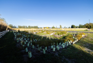 250227 Tarbotton Smithfields 018