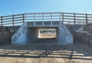 Dairy Conversion Stock Overpass