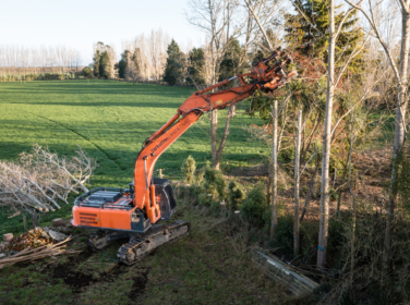Dairy Conversion Tree Topping