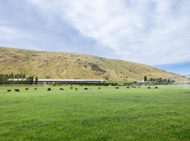 251128 Tarbotton Kaituna Valley 012