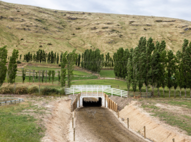 251128 Tarbotton Kaituna Valley 016