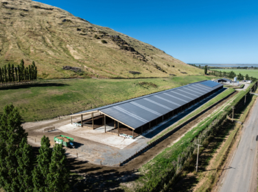 251128 Tarbotton Kaituna Valley 055