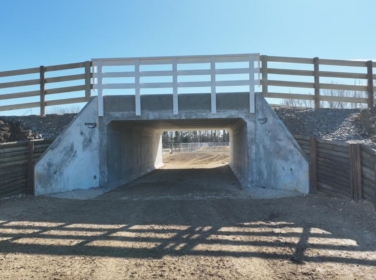 Dairy Conversion Stock Overpass