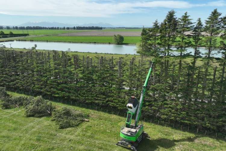 Tree Toping Tree Line Canterbury